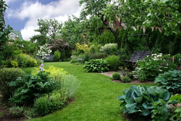 paths with lawns at the dacha