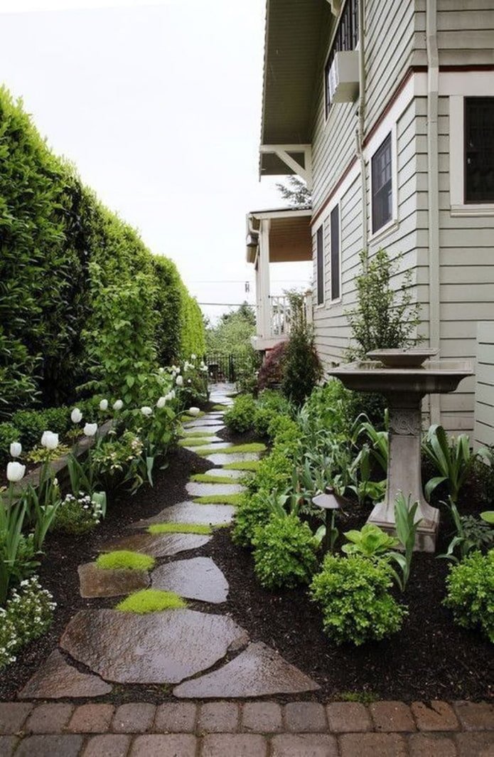 landscape along the house