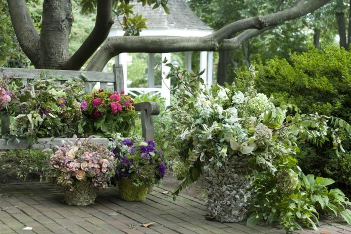 garden flowers in the Provence style