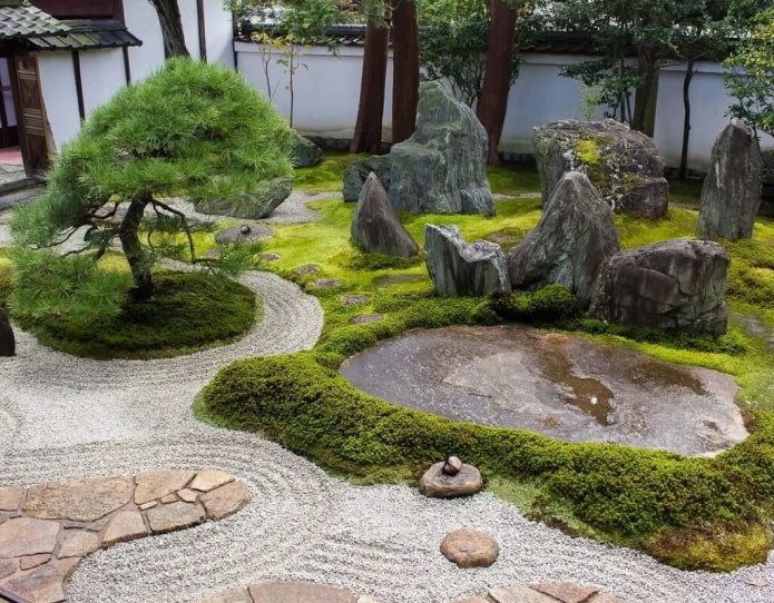 rock garden