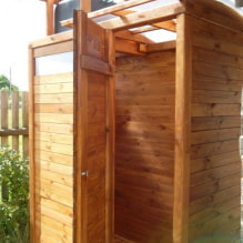 Summer shower at the dacha-0