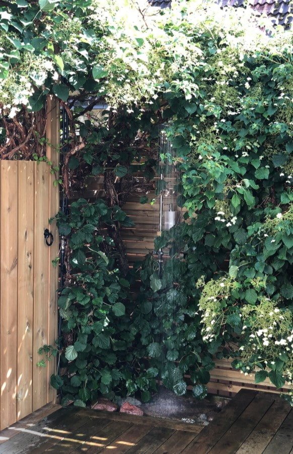 shower in the thicket of plants