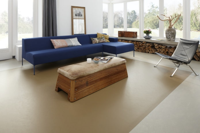 two-color linoleum in the interior