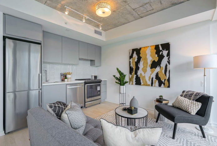 design of a small kitchen-living room