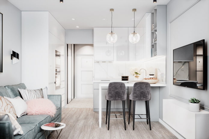 design of a small kitchen-living room