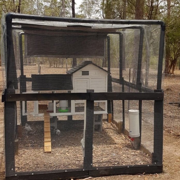 Chicken Coop
