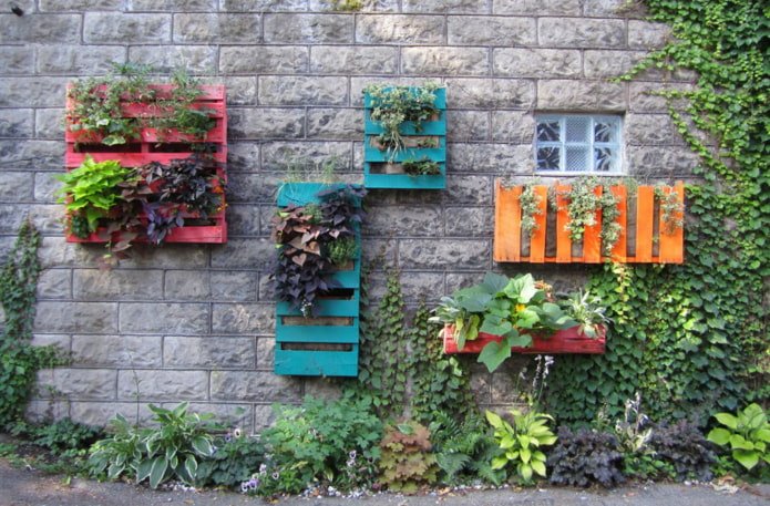 Vertical Gardens