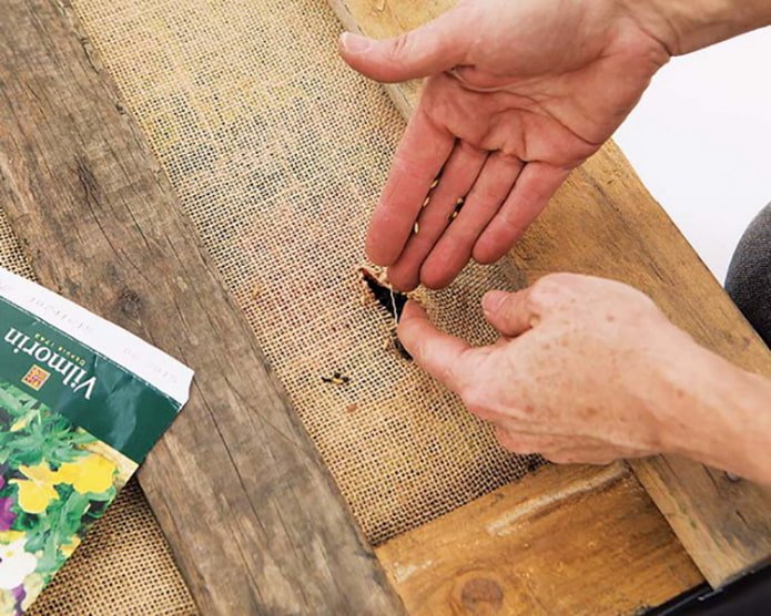 Planting seeds