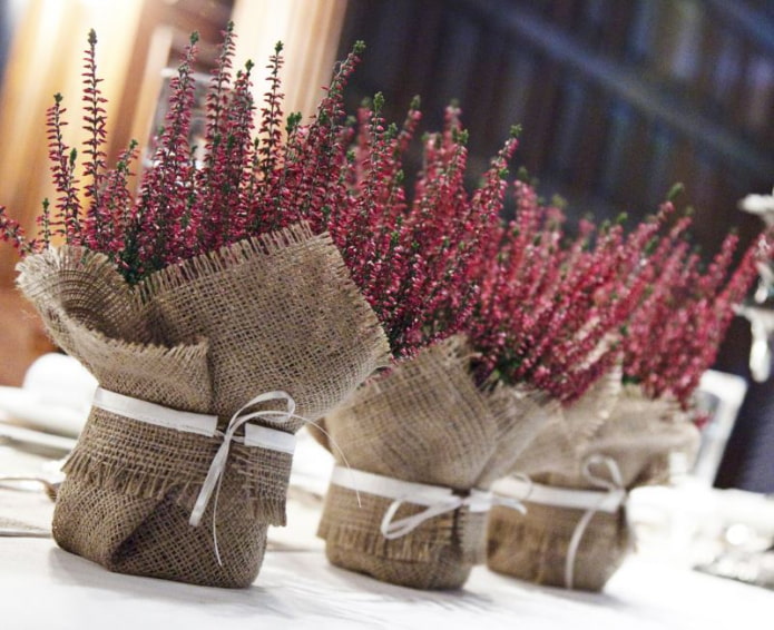burlap on a pot
