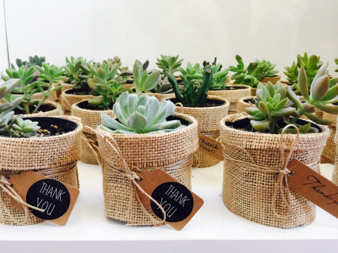 fabric flowerpot