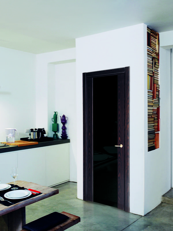 doors with black glass in interior
