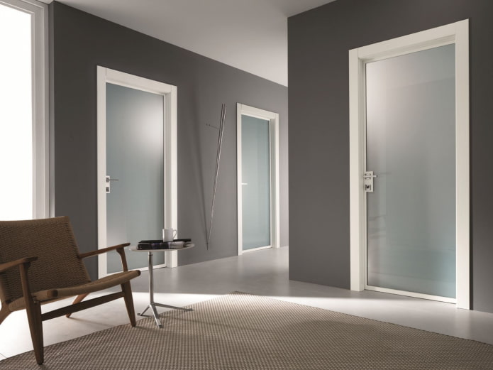 door with glazing in the minimalist style