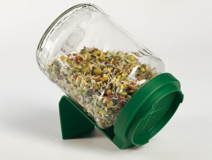 jar for germination