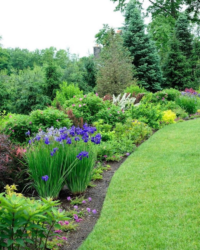 English-style flowerbed
