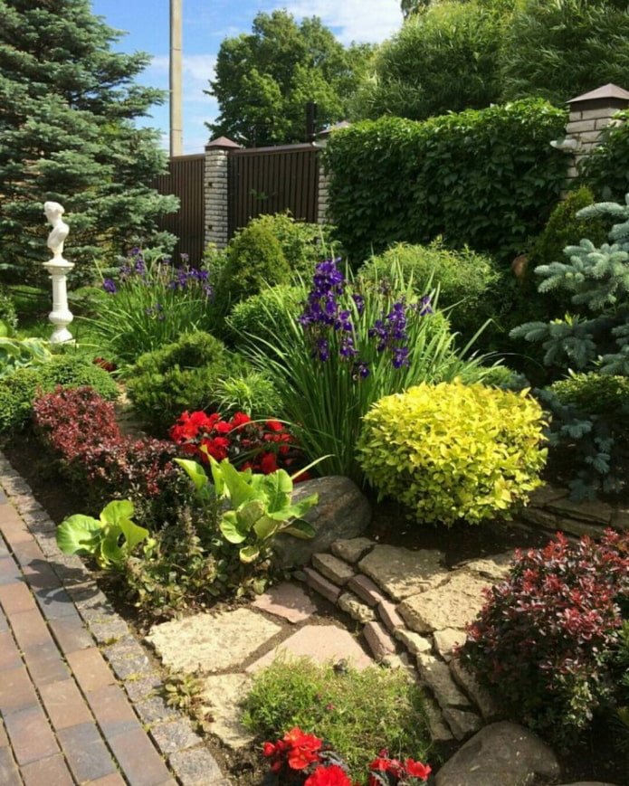 bushes in a mixborder