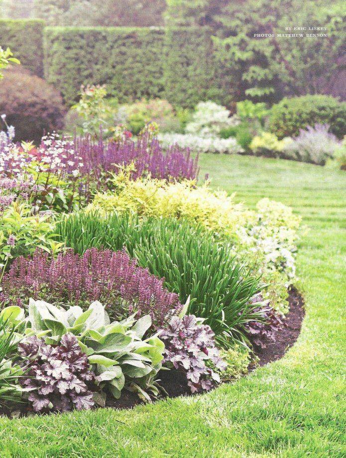low plants for a mixborder