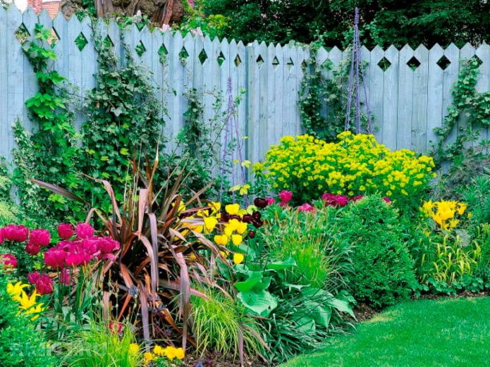 flowerbed near a fence