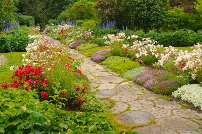 flowers along the path