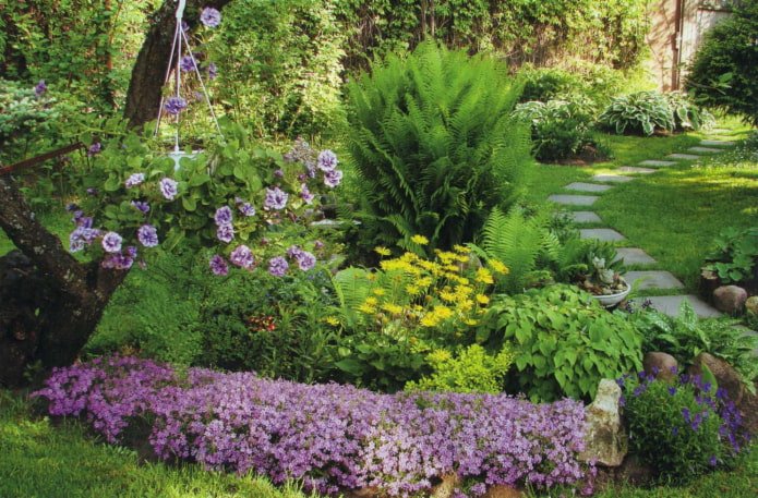 where to place a mixborder