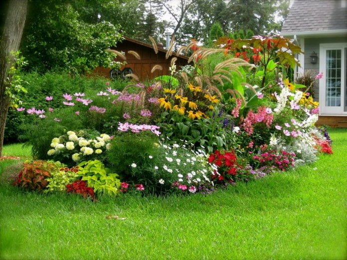 flowers in a mixborder
