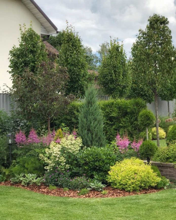 bushes in a mixborder