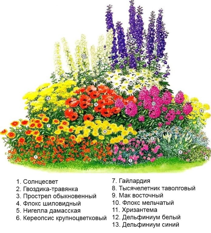 yellow flowers in a flowerbed
