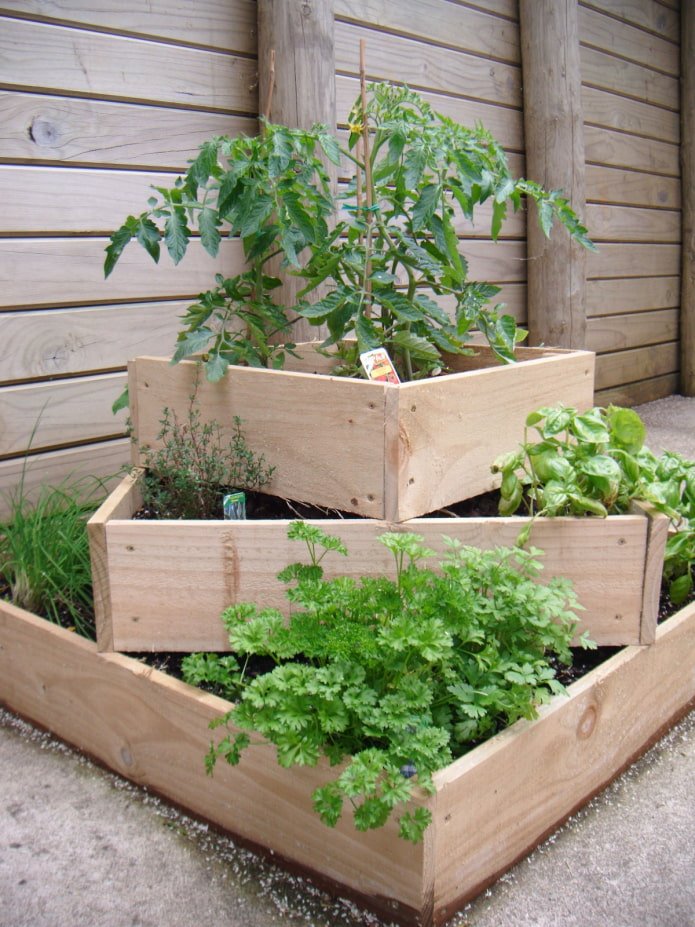 vertical flowerbed for seedlings