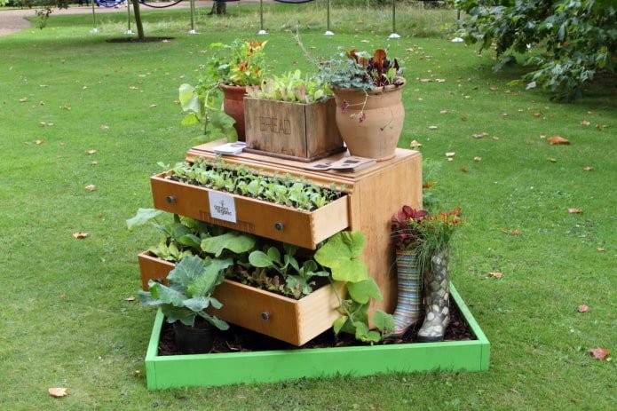 flowerbed in a chest of drawers