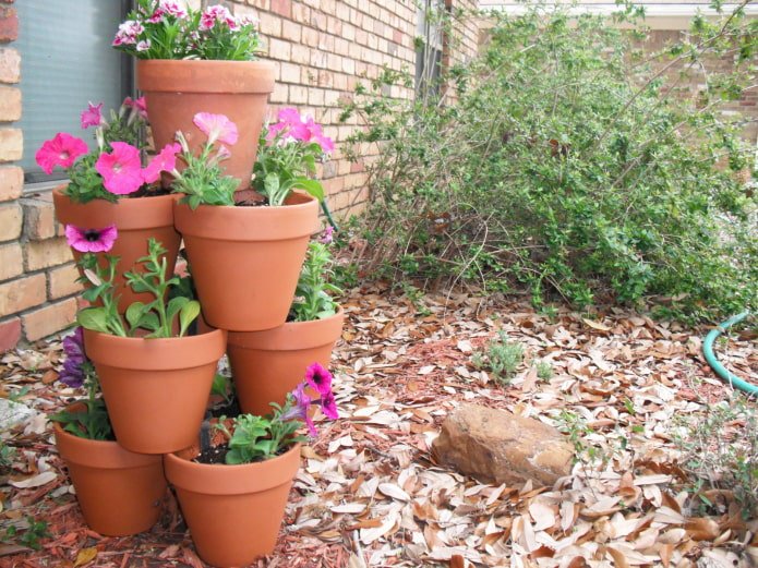 pots in the garden