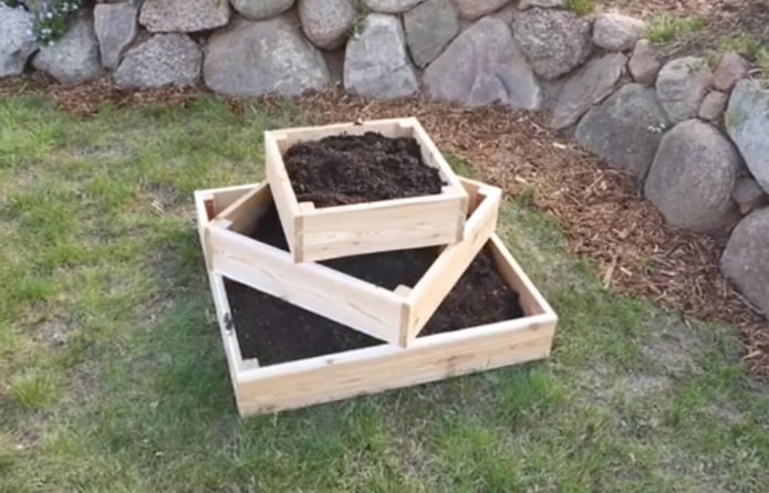 strawberry flowerbed