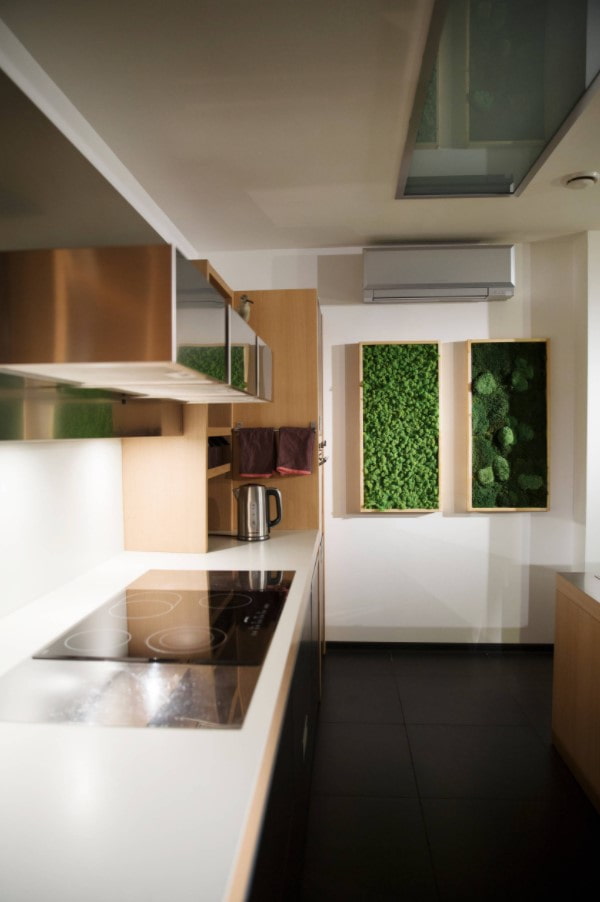 pictures made of stabilized moss
