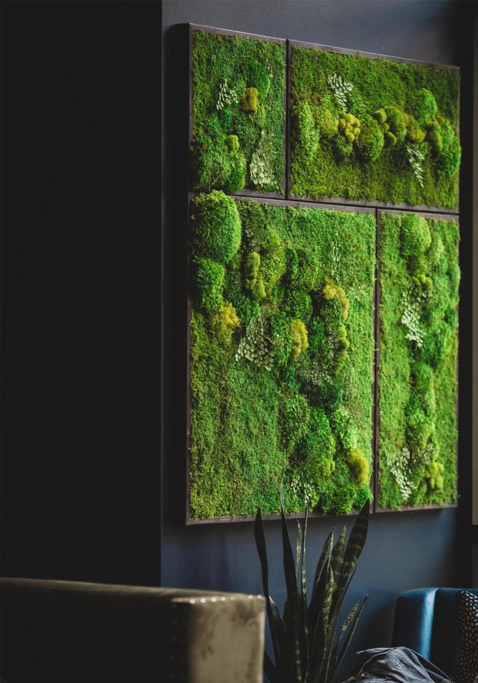 moss panels for wall decor