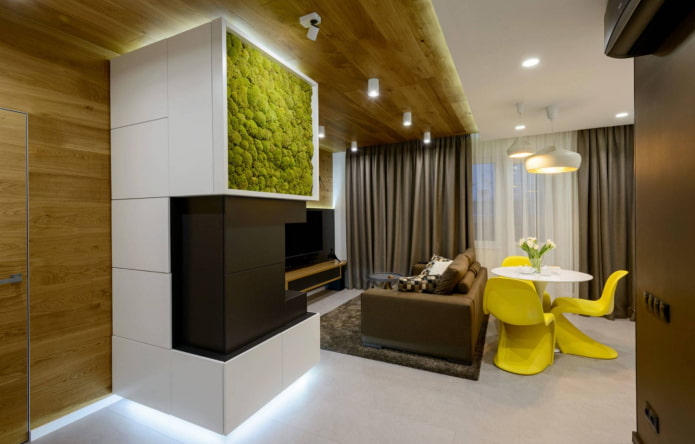 living room zoning