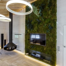 Moss in the interior-0