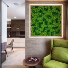 Moss in the interior-1