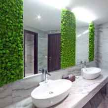 Moss in the interior-3