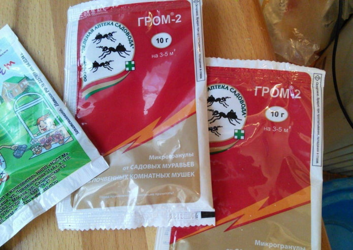 granules for indoor flowers from midges