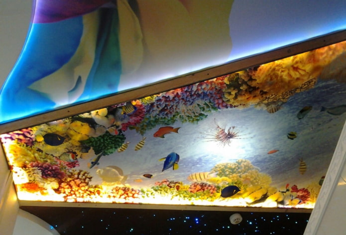 ceiling with 3D photo printing imitating an aquarium