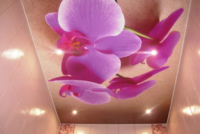 ceiling with the image of orchids