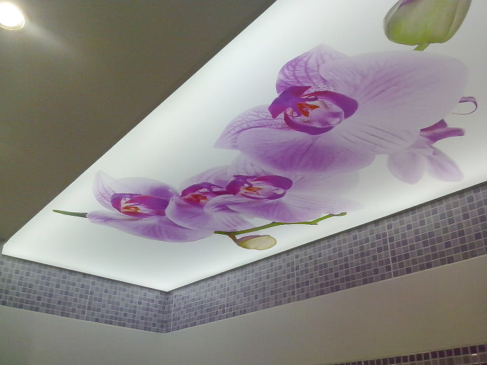 ceiling with orchids
