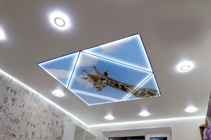 ceiling with a giraffe