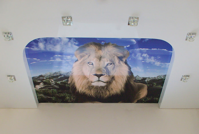 ceiling with a lion