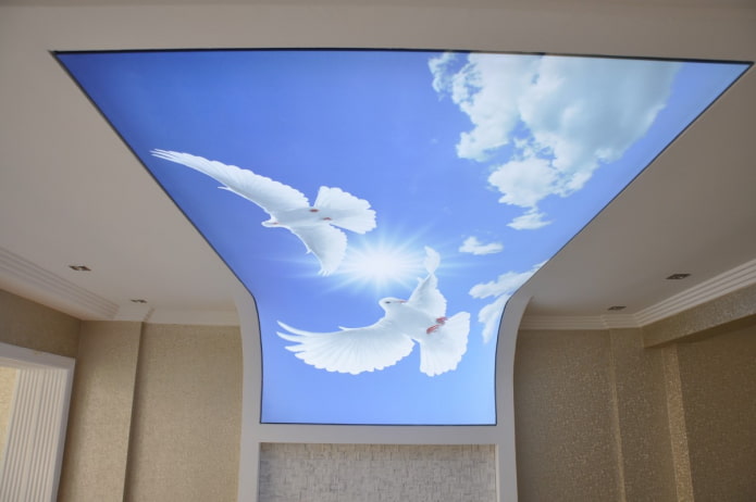 ceiling to increase space