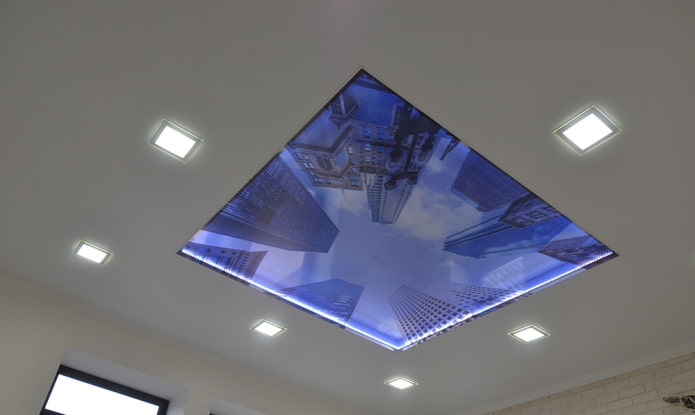 ceiling with a city panorama