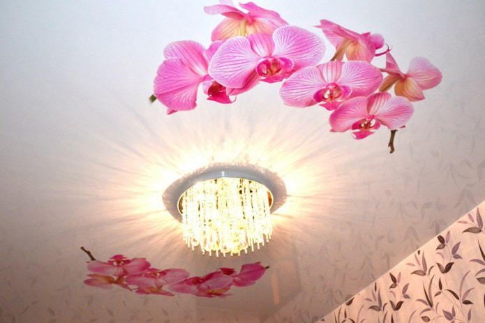 stretched canvas with an image of an orchid