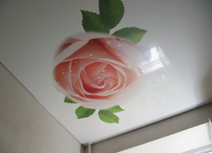 stretched fabric with photo printing in the form of a rose