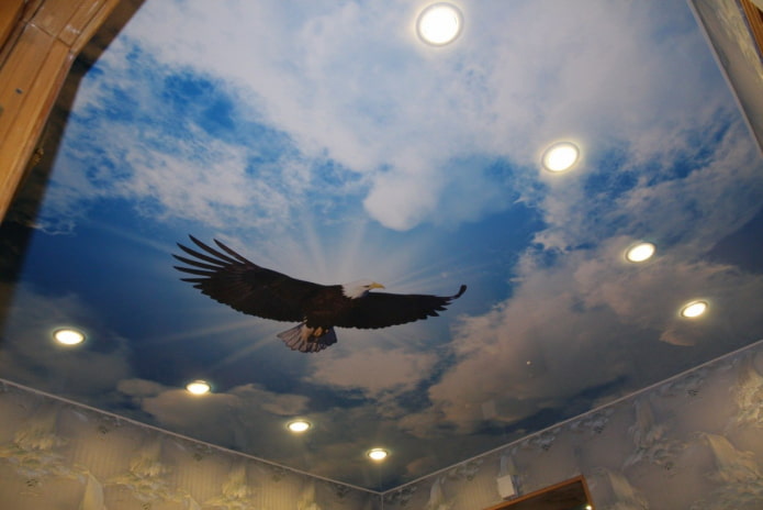 stretched canvas with the image of birds