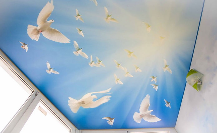 stretched canvas with the image of birds