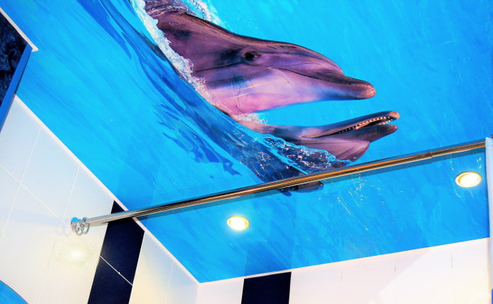 ceiling with dolphins image in the bathroom