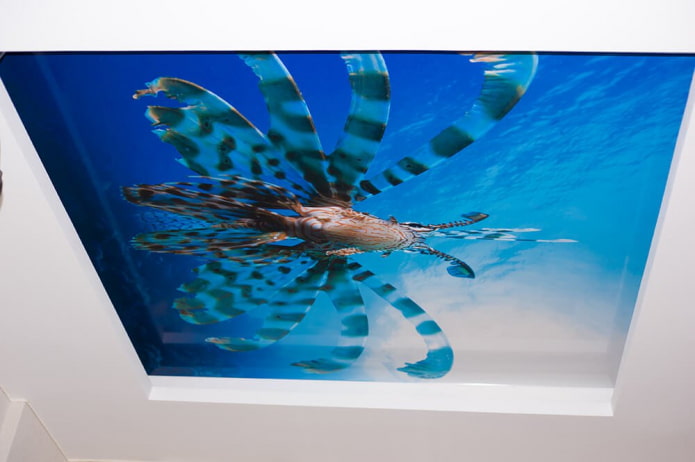 stretched canvas with photo printing underwater world